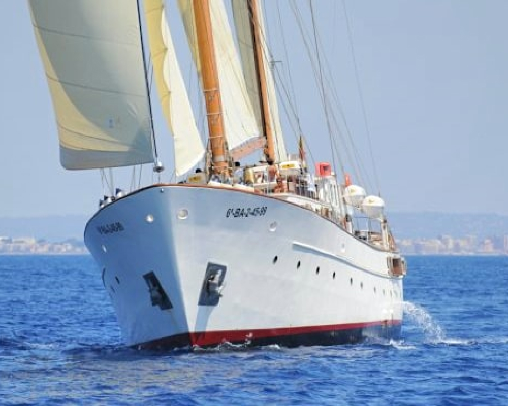 regata-gallery 51